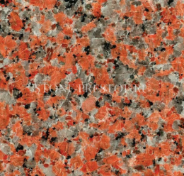 Marple Red (Марпл рэд), фото Купить Marple Red (Марпл рэд) в Оренбурге